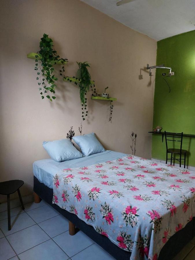Cho Ku Rei Hostal San Jose del Cabo Exterior photo