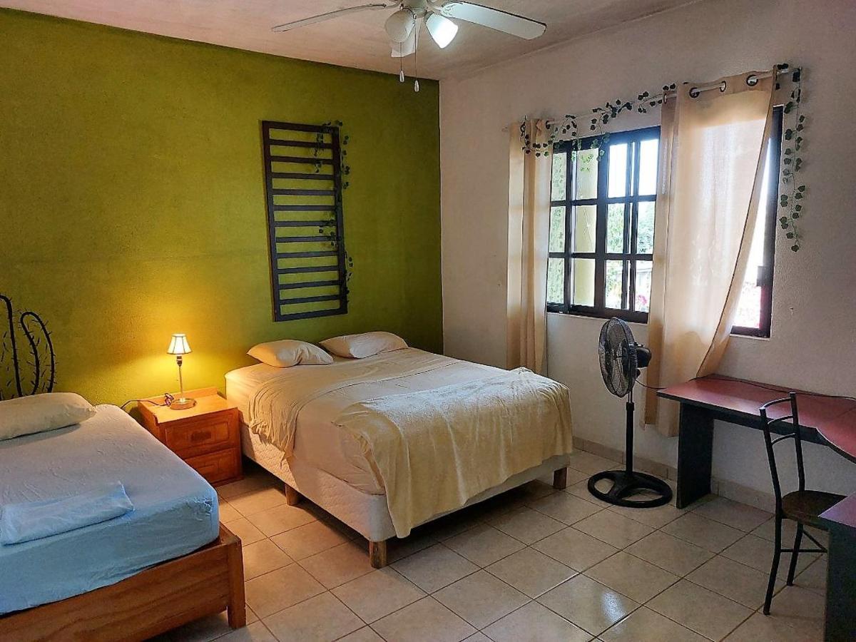 Cho Ku Rei Hostal San Jose del Cabo Exterior photo